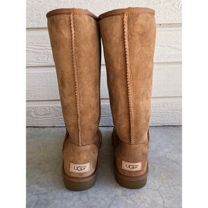 Brand new tall tan UGGs